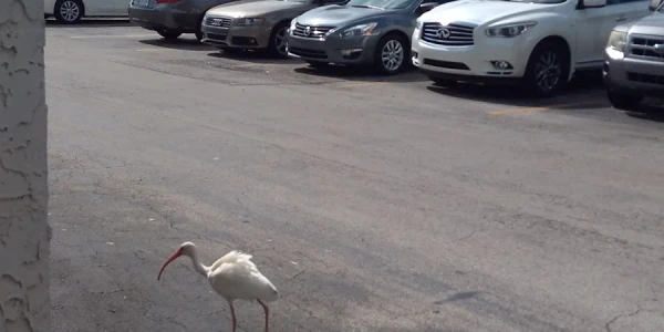 Center for Family and Child Enrichment